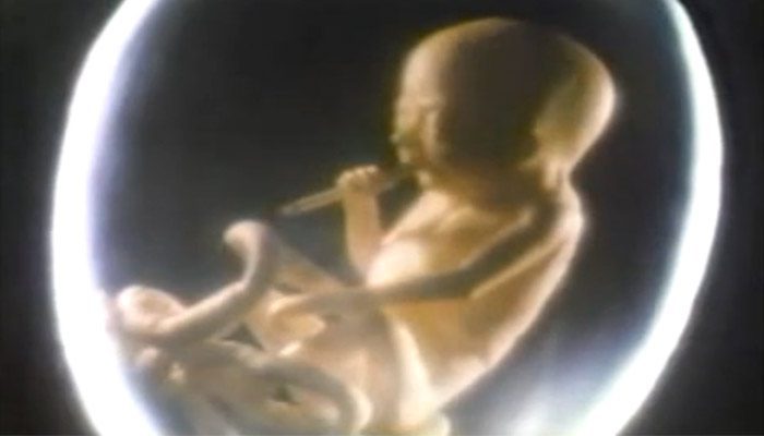 TRUST Trivia: David Fincher - TRUST Collective